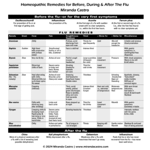 Miranda Castro's Flu Chart